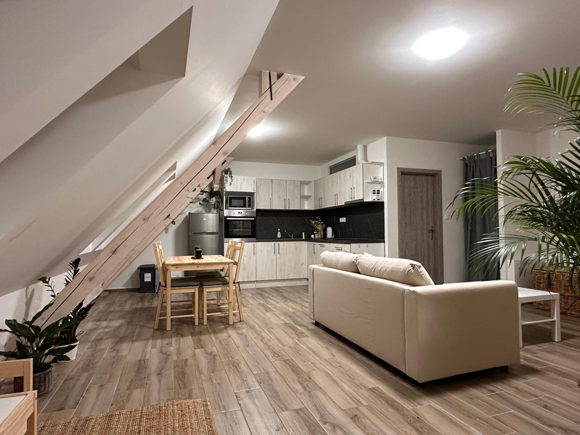 Apartmany Monastery Suites Zirec Dvůr Králové nad Labem المظهر الخارجي الصورة